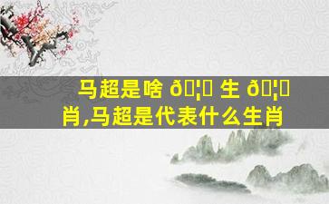 马超是啥 🦆 生 🦊 肖,马超是代表什么生肖